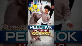 Ребенок Ударил Собаку Бутылкой #shorts