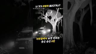 지하철에서 보면 안되는 웃긴 순간 6탄