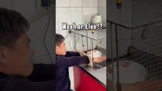 This Tool Ends Lazy Dishwashing Habits!