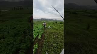 charming place  #shorts #shortsvideo #short #shortvideo #fishing #angler #mancing