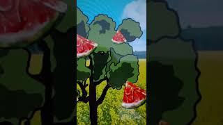 Watermelon Trees. (sound video)