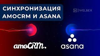 Синхронизация AmoCRM и Asana | Доработка виджета