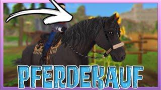 Wir KAUFEN das schwarze CURLY HORSE  aus der Star Stable Horses App [SSO] PFERDEKAUF