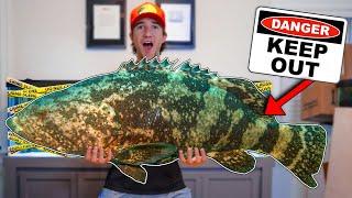 UNBOXING THE WORLD'S BIGGEST FISH... (what's inside?)