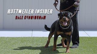 Rottweiler Training Tips From A Legendary Expert