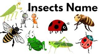 Learn names of insects by drawing pictures and watch their activity@eiva education home