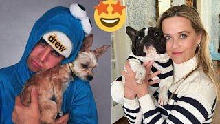 Funny Celebrity Pets |  Part 3: A compilation of the funniest celebrity pet photos and videos