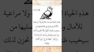 اقوال وحكم عن الحياة ️ اقتباسات وخواطر مؤثرة | عبارات وحالات واتس دينية