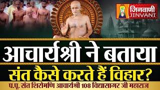 आचार्यश्री ने बताया संत कैसे करते हैं विहार ? | Vidhya Sagar Ji Maharaj | 31 Oct 24 | J00746