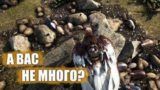 Бобры и стены - ARK Ragnarok # 7