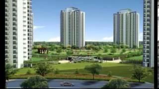 Amrapali Silicon City Resale 9910155922 , Amrapali Silicon City Resale