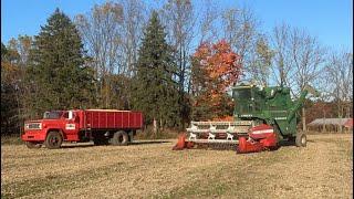 A Little More Corn And Switching Back To Beans