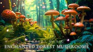 Enchanting Forest Environment with Magical Forest Music | Relax, Heal Your Mood and Deep Sleep