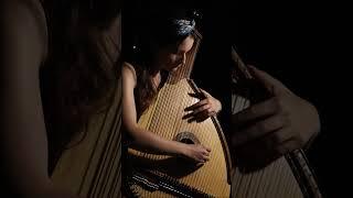 Lose Yourself by Eminem (#bandura cover)  #бандура #бандурацекруто #lute #zither #harp