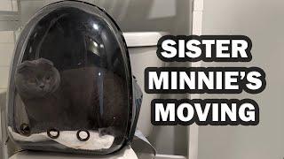 Sister Minnie's Moving