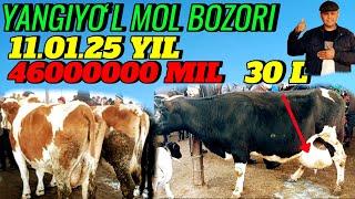 YANGIYOʻL MOL BOZORIDA ONA -BOLA SIGIRLAR NARXLARI 40 L  SUTGA 40000000 MIL 