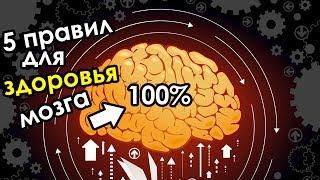 Как защитить себя от болезни Альцгеймера? 5 полезных привычек для здоровья мозга