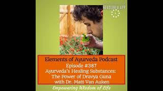 Episode 387 - Ayurveda's Healing Substances - The Power of Dravya Guna with Dr Matt Van Auken