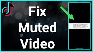 How To Fix A Muted Video On TikTok