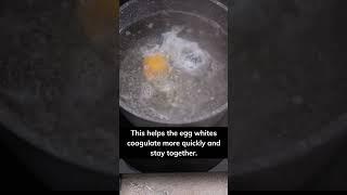 How To Cook Perfect Poached Eggs #eggs #shortsvideo #viral #youtubeshorts #tutorial #shorts