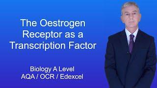 A Level Biology Revision (Year 13) "The Oestrogen Receptor as a Transcription Factor"