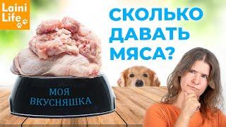 Сколько МЯСА давать собаке?