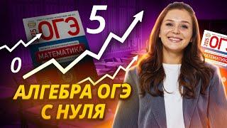 АЛГЕБРА С НУЛЯ | Умскул | ОГЭ и ЕГЭ по математике