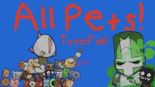 How to Get EVERY Pet in Castle Crashers!