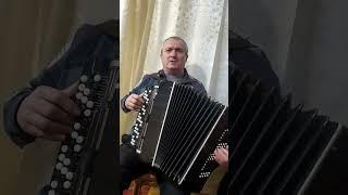 калины куст