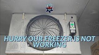 HURRY OUR FREEZER IS NOT WORKING