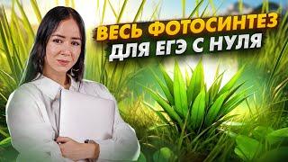 Весь фотосинтез для ЕГЭ с нуля | Биология ЕГЭ