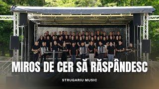 Frații Strugariu, Cristi Boariu și Echipa - Miros de cer să răspândesc | Official Video