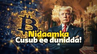 Blockchain | Muxuu yahay nidaamka lacageed ee uu aduunku u guurayyo kadib doorashadda Trump