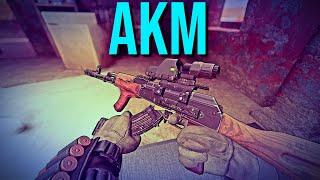 (4K) The AKM Is Amazing - Insurgency: Sandstorm