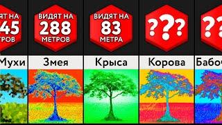 Как Животные Видят Наш Мир