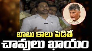 Jagan About Chandrababu | Andhra Prabha News Telugu