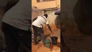 how can you be burning dust bin beside someone's  window #trending #viral