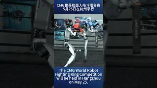 The world's first humanoid robot fighting competition! #Robotics  #Fighting 人形机器人格斗竞技赛25日在杭州举办