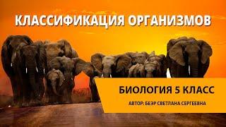 Классификация организмов