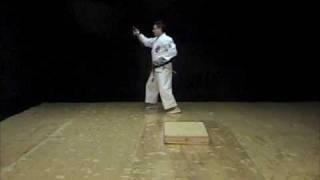Kyan No Sai Kata of Isshinryu