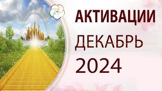 АКТИВАЦИИ для повышения Удачи на ДЕКАБРЬ 2024. Прогулки по Ци Мэнь Дунь Цзя