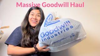 Massive Goodwill Haul Do you check the Bra section? be on the lookout!