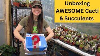 Unboxing AWESOME Cacti & Succulents #cactus #cacti #cactusplants #succulents