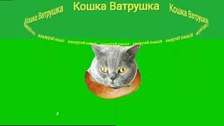 Кошка Ватрушка пародия на Мышка Сосиска