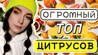 ОГРОМНЫЙ ТОП ЛУЧШИЕ ЦИТРУСОВЫЕ АРОМАТЫ НА ЛЕТО