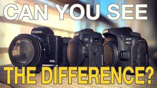 Canon 90D VS Canon EOS R VS Canon M50 for Video
