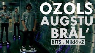 Ozols - AUGSTU BRĀL'