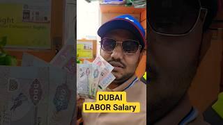 Dubai Men Helper, Packing or Labor ki Job karne walon ki Salary #insidedubai #dubaicareers