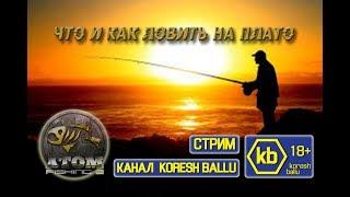 Atom Fishing II Что и как ловить на плато великанов...