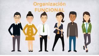 La estructura organizacional